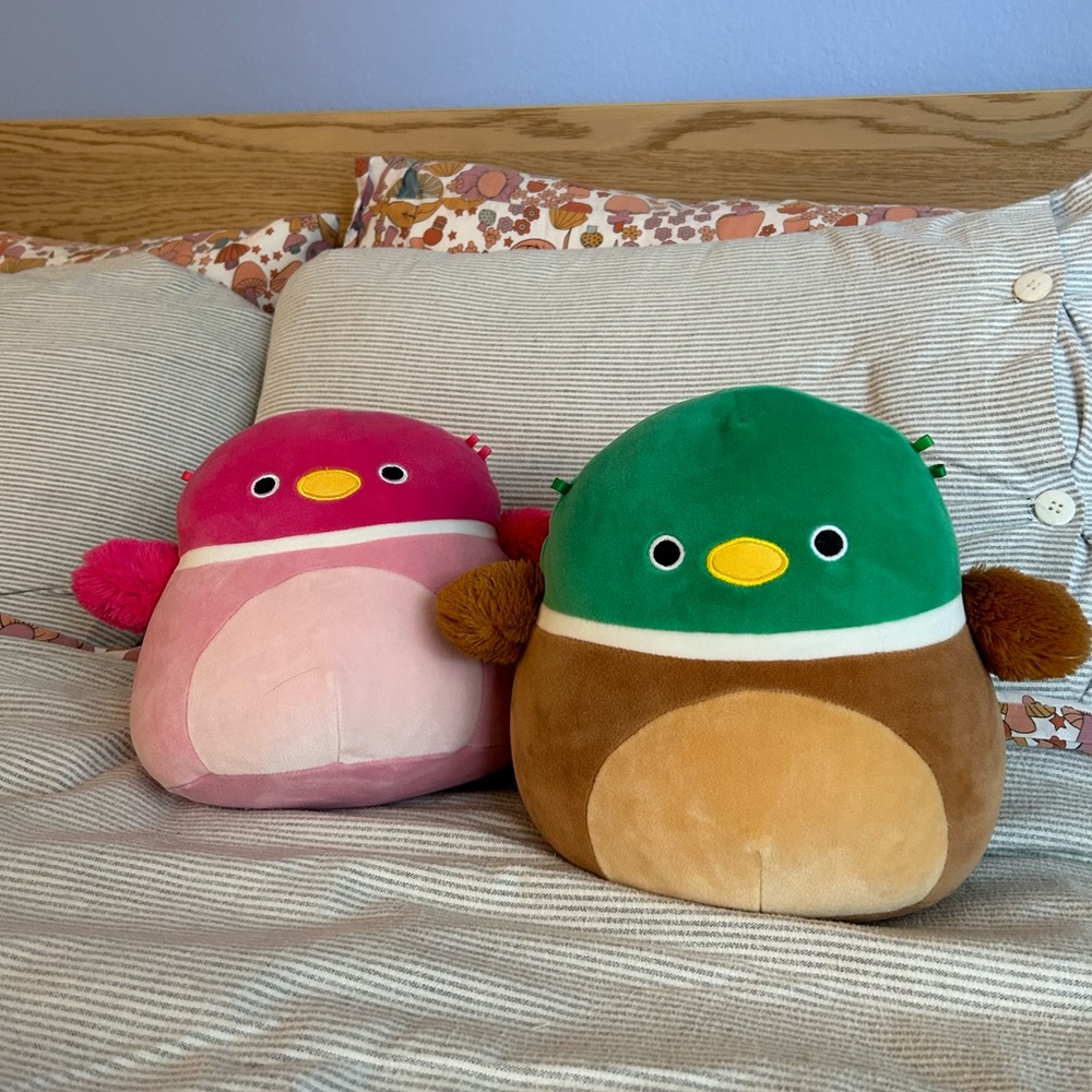 Mini Squishmallows duck duo
